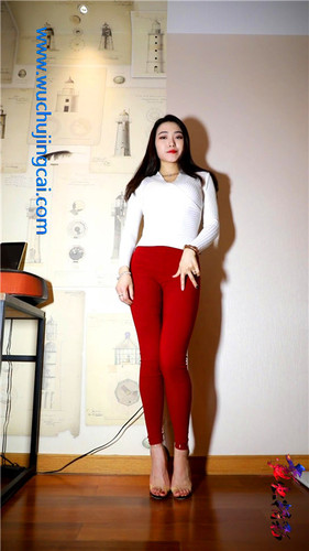 舞出精彩-文文3期-12V/2.02G