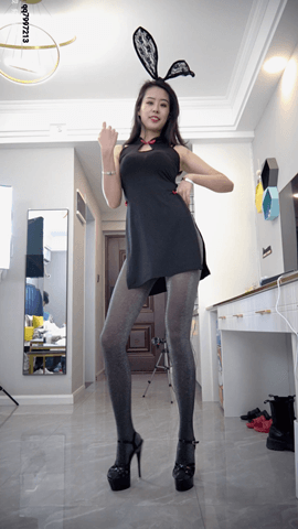 炫舞世家-夏栢5期-4V/0.9G