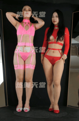 黑GIRL舞姿-双人25期-24V/5.2G